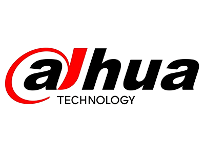dahua